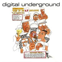 Tie The Knot - Digital Underground
