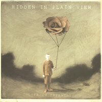 In Memory - Hidden in Plain View