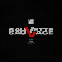 Sauvette Sauvage - Mig