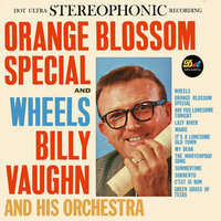 Orange Blossom Special - Billy Vaughn And His Orchestra