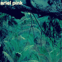 Burned Out Love - Ariel Pink
