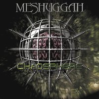 The Mouth Licking What You've Bled - Meshuggah