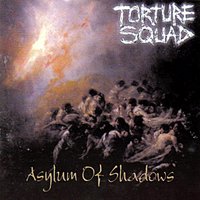 Mad Illusion - Torture Squad