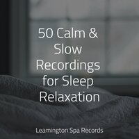 Lullaby - Namaste Healing Yoga, Naturaleza Relajacion, Sleep Sounds Of Nature