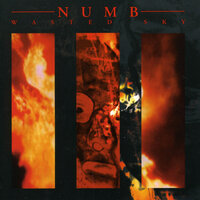 Blood - Numb