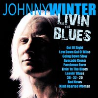 38 - 32 - 20 - Johnny Winter