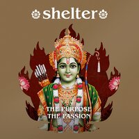 The Value of Sitting With Myself - Shelter