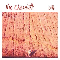 Soft Picasso - Vic Chesnutt