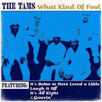 Hey Girl (Don't Bother Me) - The Tams