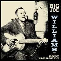Baby Please Do - Big Joe Williams