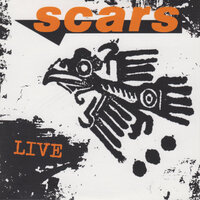 David - Scars