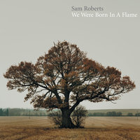 On The Run - Sam Roberts