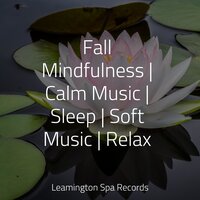 Heaven on the Keys - The White Noise Zen & Meditation Sound Lab, Meditation Relaxation Club, Relaxing Mindfulness Meditation Relaxation Maestro