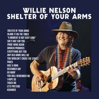 Any Old Arms Will Do - Willie Nelson