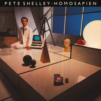 Pusher Man - Pete Shelley