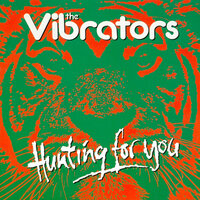 Hunting For You - The Vibrators