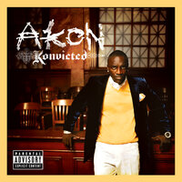 Sorry, Blame It On Me - Akon