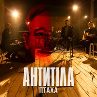 Птаха - Антитіла