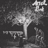 Forgotten Legacy of the Past - Ariel Pink
