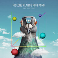 Indiglo - Pigeons Playing Ping Pong, Zach Gill