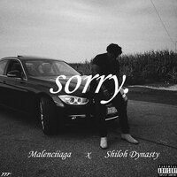 Sorry. - Shiloh Dynasty
