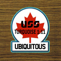 Turquoise 1:11 - USS (Ubiquitous Synergy Seeker)