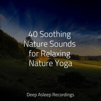 Paradise - SleepTherapy, Nature Sounds Nature Music, Massage Therapy Music