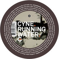 Maintain - CYNE