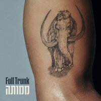 וואלק - Full Trunk