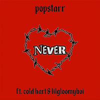 Never - Cold Hart