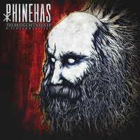 David and the Gate - Phinehas