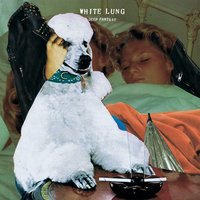 Face Down - White Lung