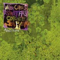 Water Curses - Animal Collective