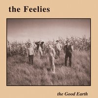 On The Roof - The Feelies