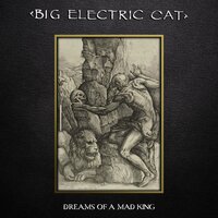 Winter Room - Big Electric Cat