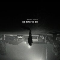 No Time to Die - Plot Twist, Amanda Joy
