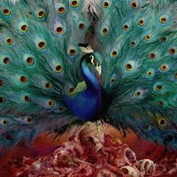 The Wilde Flowers - Opeth