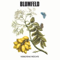 April - Blumfeld