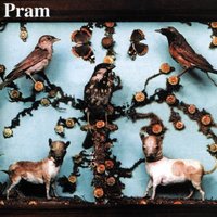 Cat's Cradle - Pram