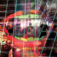 Today's Supernatural - Animal Collective