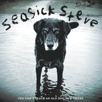 Have Mercy On The Lonely - Seasick Steve