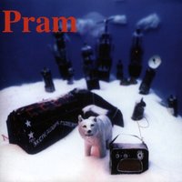 Cinnabar - Pram