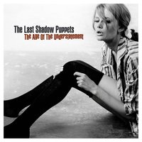 Black Plant - The Last Shadow Puppets, Alex Turner, Miles Kane