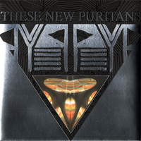 Infinity ytinifnI - These New Puritans