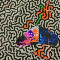 Lundsten Coral - Animal Collective