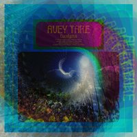 Selection of A Place - Avey Tare