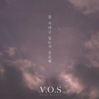 I miss you - V.O.S