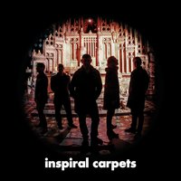 Human Shield - Inspiral Carpets