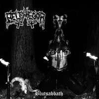 Blackest Ecstasy - Belphegor