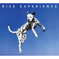 Experience - Rize